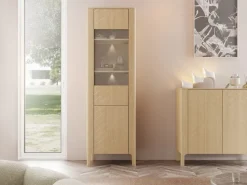 Aggarwal Vitriinikaappi 60 cm Valaistuksella