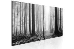Taulu Black And White Forest 150x50 Artgeist sp. z o. o.
