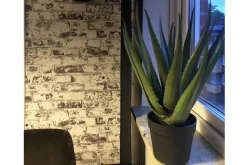 Tekokasvi Moganas Aloevera 50 cm Vihreä