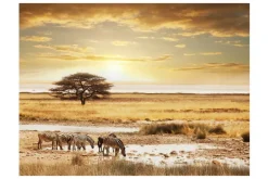 Valokuvatapetti Afrikkalaiset seeprat veden ääressä 200x154 Artgeist sp. z o. o.