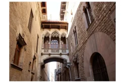 Valokuvatapetti Barcelona Palau Generalitat 250x193 Artgeist sp. z o. o.