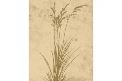 Venture Home Juliste Plant art 30x40 cm Beige